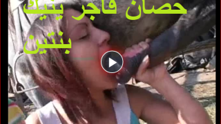 حصان فاجر ينيك بنتين شراميط يعشقون مص زب الحصان – سكس حيوانات زباوى